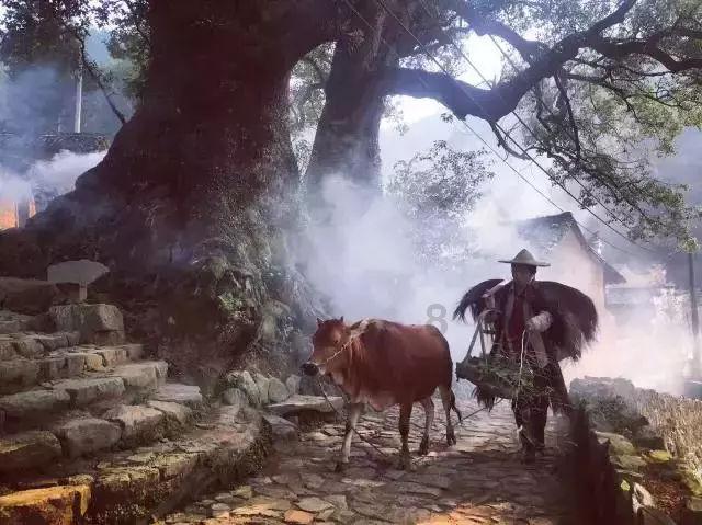 救援旅行男孩