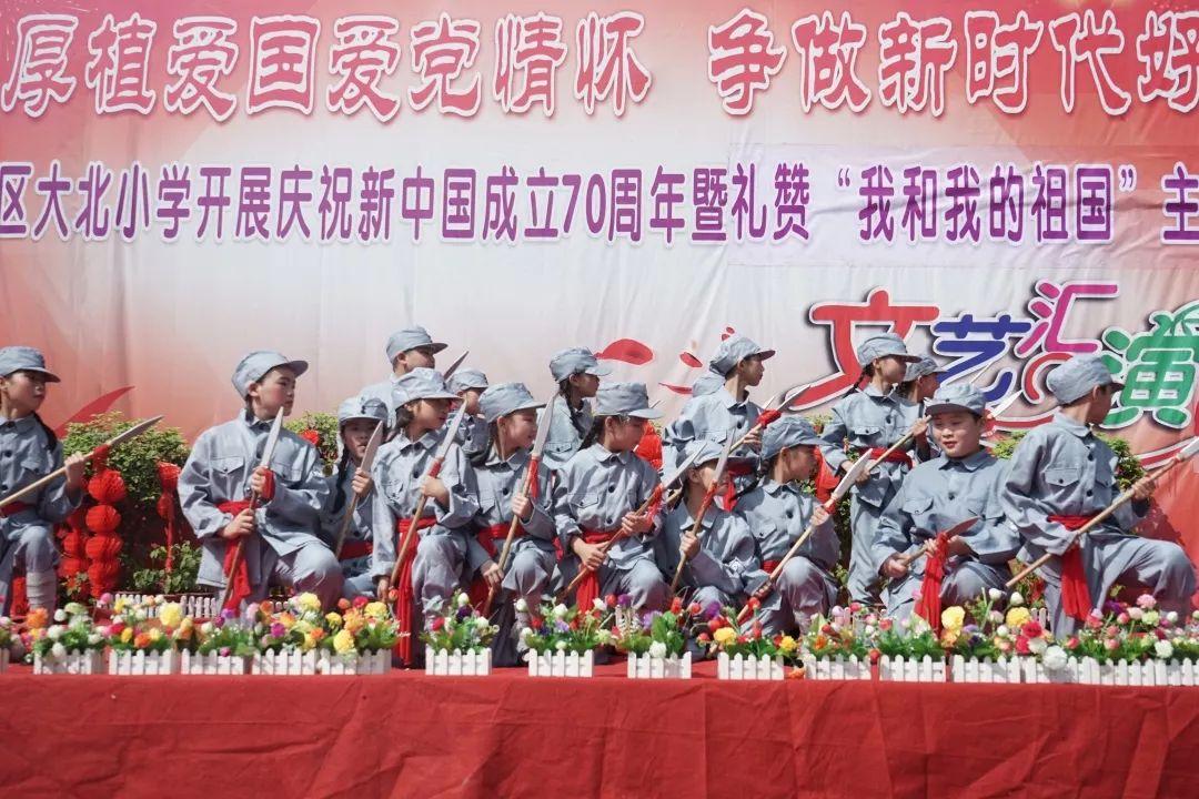 救援大嘴鸟