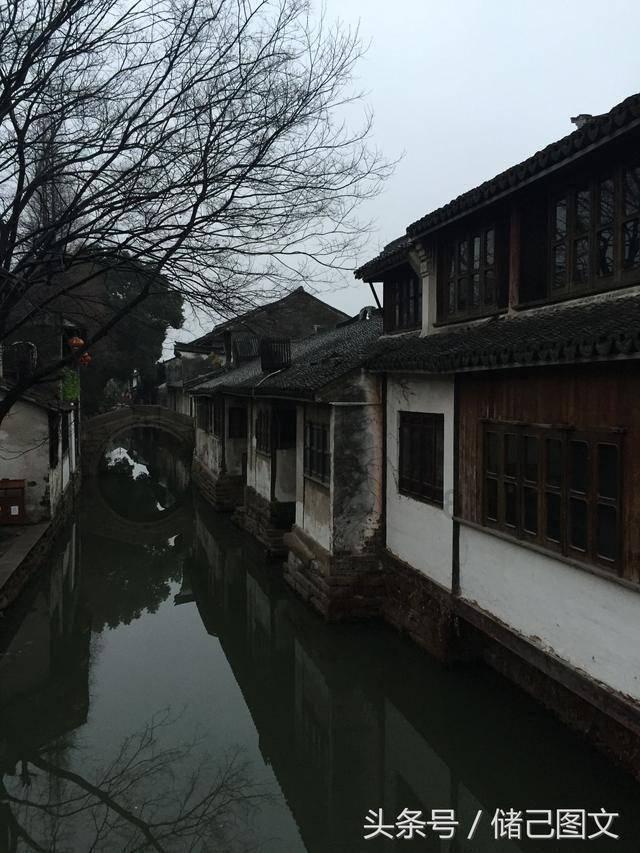 植物大战僵尸3